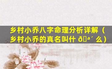 乡村小乔八字命理分析详解（乡村小乔的真名叫什 🪴 么）
